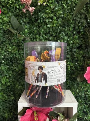 Lapis com Borracha Harry Potter