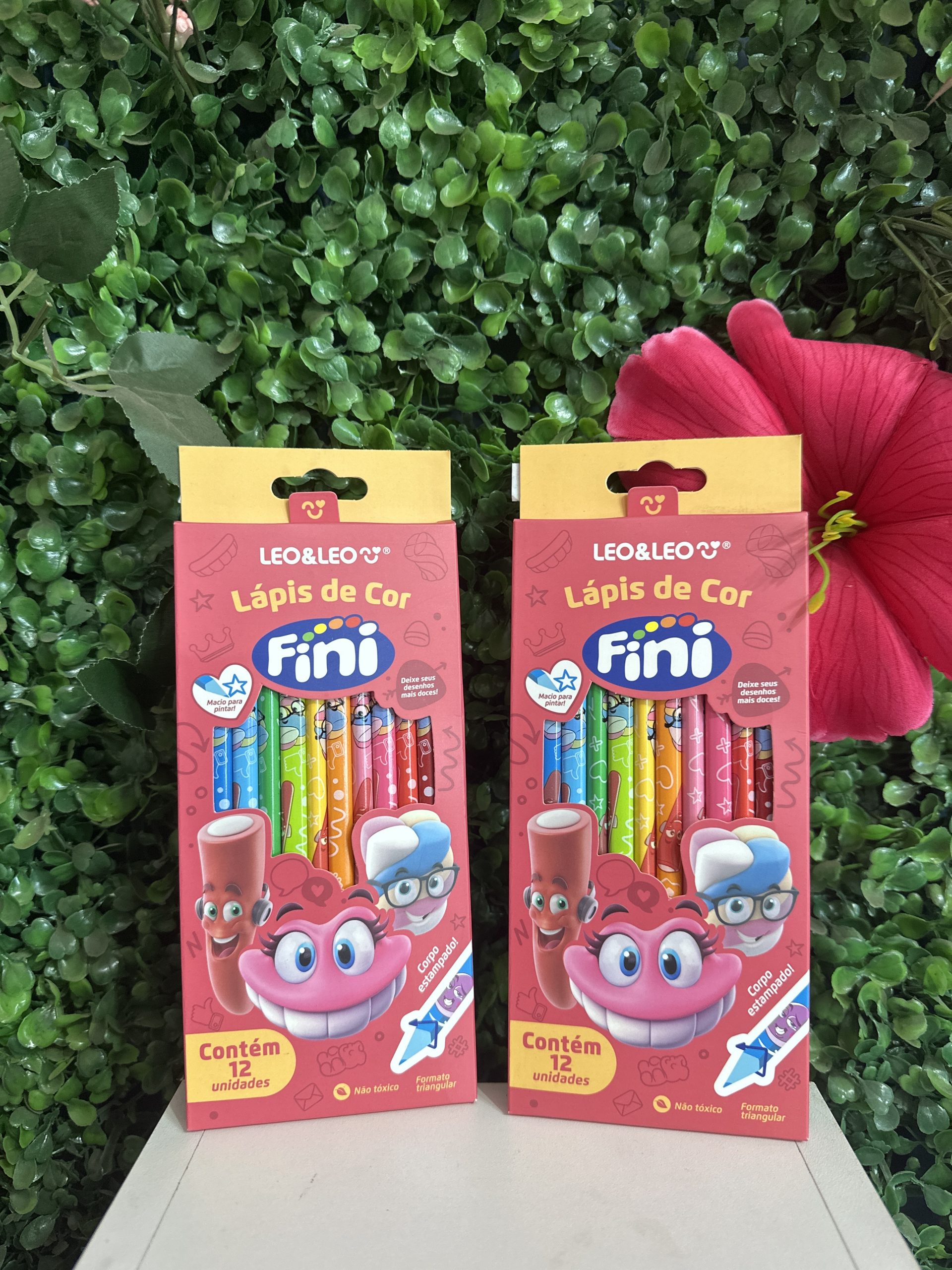 Lapis de Cor Leo e Leo Fini 12 cores