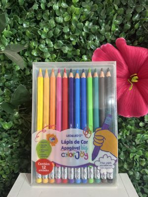 Lapis de cor Apagavel Leo e Leo Jumbo